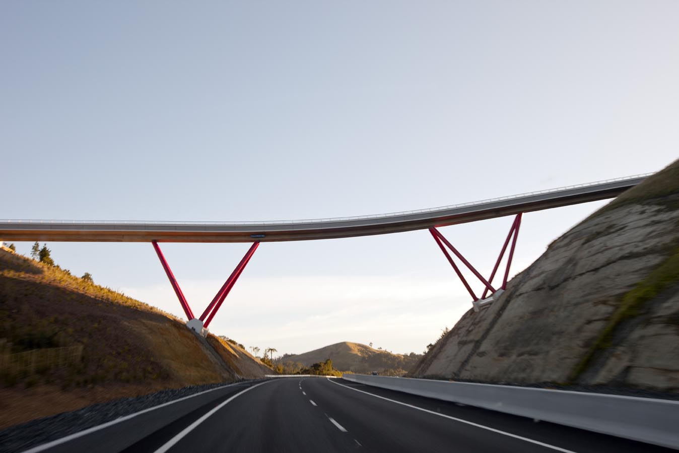 Hillcrest Road Pukeko Bridge — hero photograph